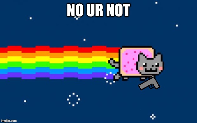 Nyan Cat | NO UR NOT | image tagged in nyan cat | made w/ Imgflip meme maker