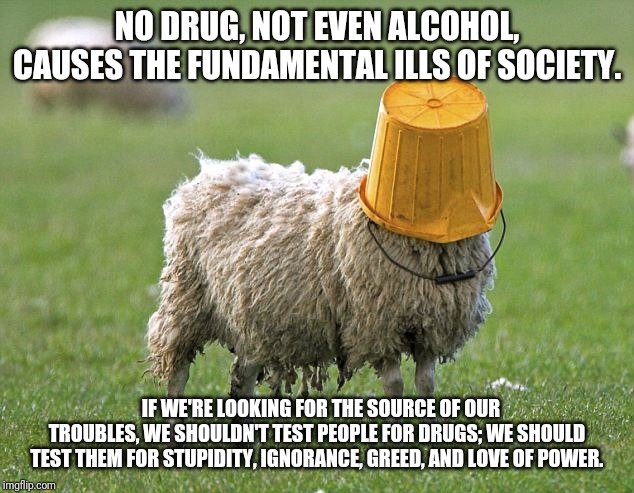 stupid sheep | NO DRUG, NOT EVEN ALCOHOL, CAUSES THE FUNDAMENTAL ILLS OF SOCIETY. IF WE'RE LOOKING FOR THE SOURCE OF OUR TROUBLES, WE SHOULDN'T TEST PEOPLE FOR DRUGS; WE SHOULD TEST THEM FOR STUPIDITY, IGNORANCE, GREED, AND LOVE OF POWER. | image tagged in stupid sheep | made w/ Imgflip meme maker