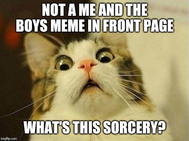 Scared Cat | NOT A ME AND THE BOYS MEME IN FRONT PAGE; WHAT'S THIS SORCERY? | image tagged in memes,scared cat | made w/ Imgflip meme maker