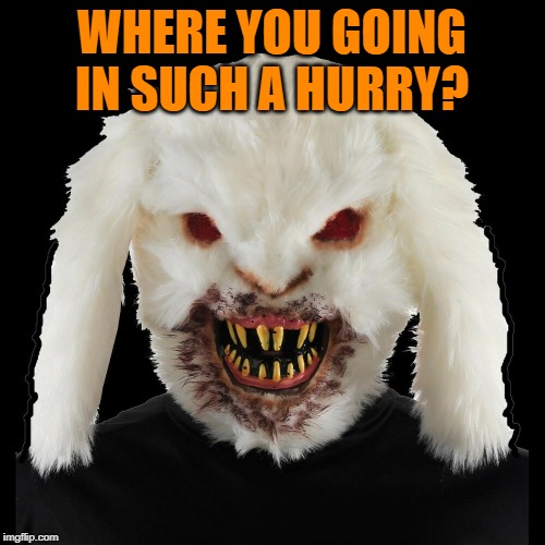 Scary Rabbit | WHERE YOU GOING IN SUCH A HURRY? | image tagged in scary rabbit | made w/ Imgflip meme maker