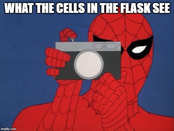 Spiderman Camera | WHAT THE CELLS IN THE FLASK SEE | image tagged in memes,spiderman camera,spiderman | made w/ Imgflip meme maker