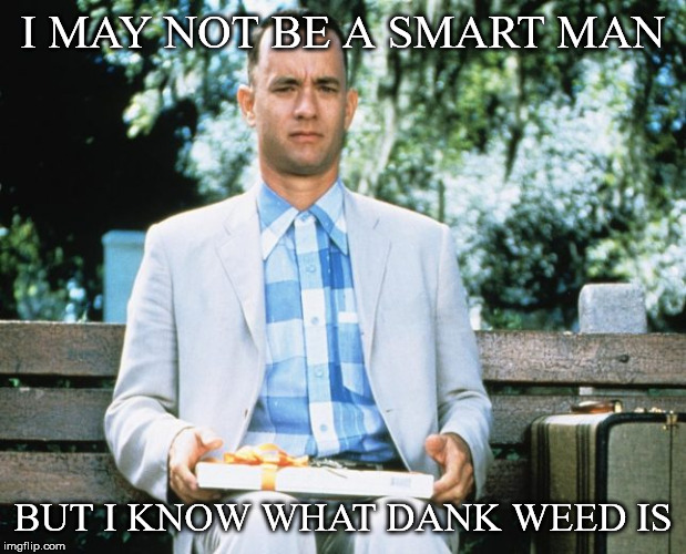 Dank Gump | I MAY NOT BE A SMART MAN; BUT I KNOW WHAT DANK WEED IS | image tagged in funny memes,smoke weed everyday | made w/ Imgflip meme maker