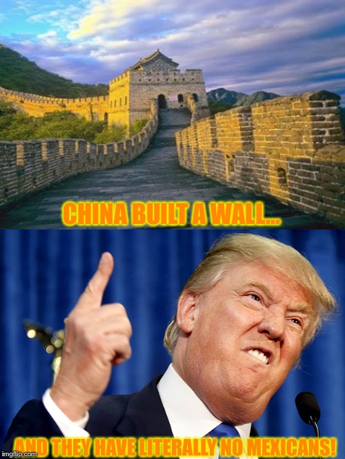 Trump's border wall? China did it first. | CHINA BUILT A WALL... AND THEY HAVE LITERALLY NO MEXICANS! | image tagged in donald trump,great wall of china,mexicans,build the wall | made w/ Imgflip meme maker