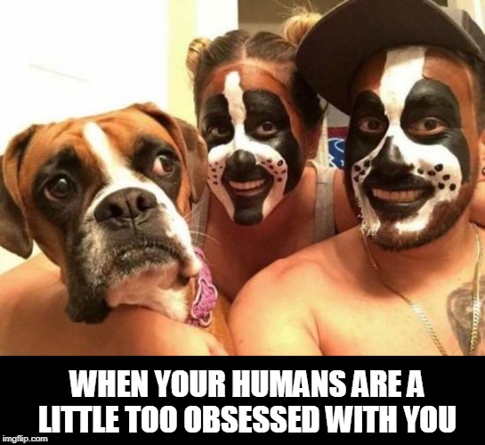 Dog obsession | WHEN YOUR HUMANS ARE A LITTLE TOO OBSESSED WITH YOU | image tagged in dog,human,obsessed | made w/ Imgflip meme maker