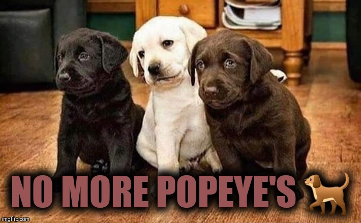 BONE COLLECTORS | NO MORE POPEYE'S 🐕 | image tagged in popeye's,chicken,dog week,funny dog memes | made w/ Imgflip meme maker