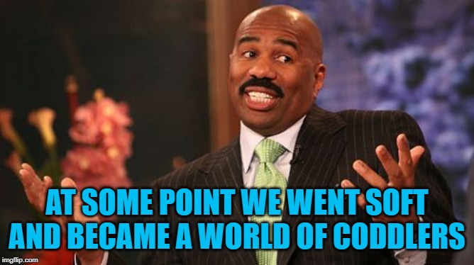 Steve Harvey Meme | AT SOME POINT WE WENT SOFT AND BECAME A WORLD OF CODDLERS | image tagged in memes,steve harvey | made w/ Imgflip meme maker