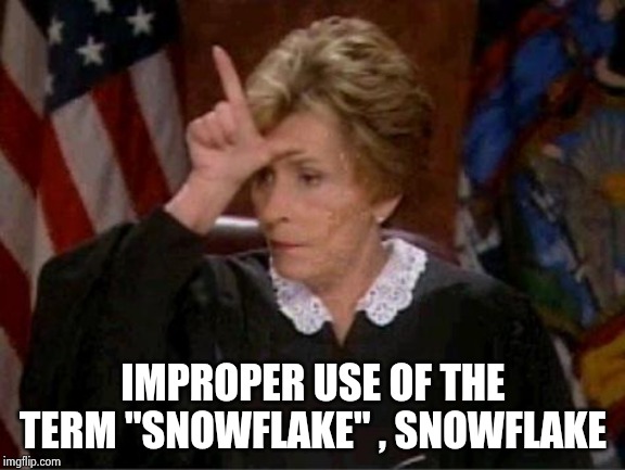 Judge Judy Loser | IMPROPER USE OF THE TERM "SNOWFLAKE" , SNOWFLAKE | image tagged in judge judy loser | made w/ Imgflip meme maker