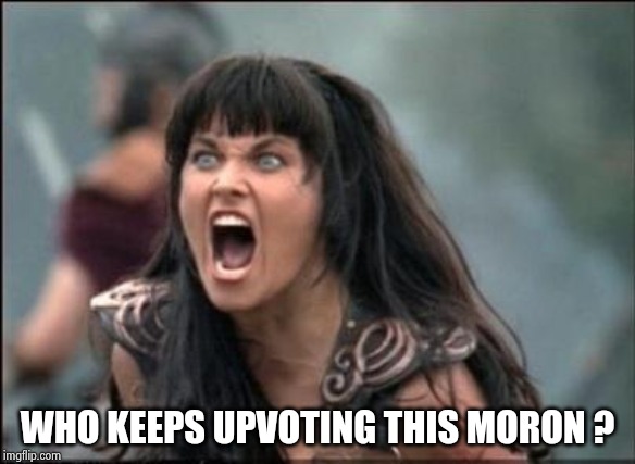 Angry Xena | WHO KEEPS UPVOTING THIS MORON ? | image tagged in angry xena | made w/ Imgflip meme maker