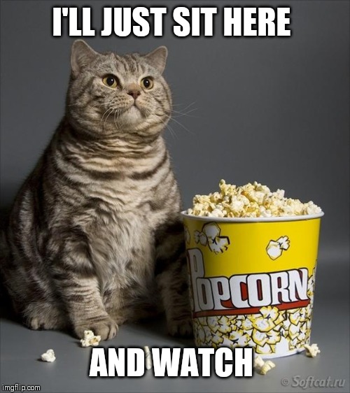Cat eating popcorn | I'LL JUST SIT HERE AND WATCH | image tagged in cat eating popcorn | made w/ Imgflip meme maker