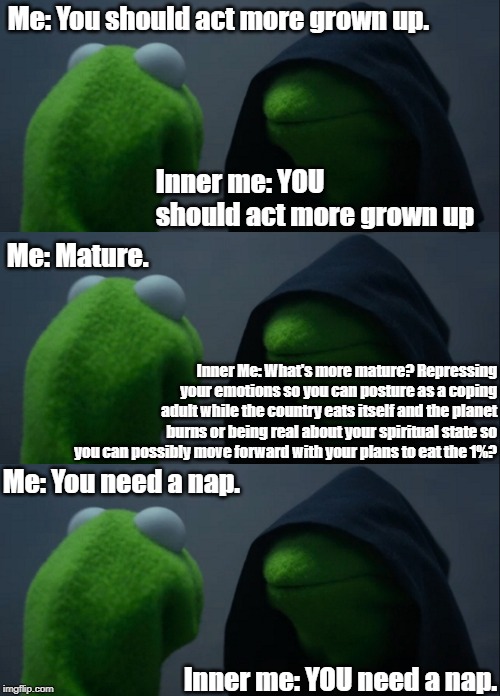 Me: You should act more grown up. Inner me: YOU should act more grown up; Me: Mature. Inner Me: What's more mature? Repressing your emotions so you can posture as a coping adult while the country eats itself and the planet burns or being real about your spiritual state so you can possibly move forward with your plans to eat the 1%? Me: You need a nap. Inner me: YOU need a nap. | image tagged in memes,evil kermit | made w/ Imgflip meme maker