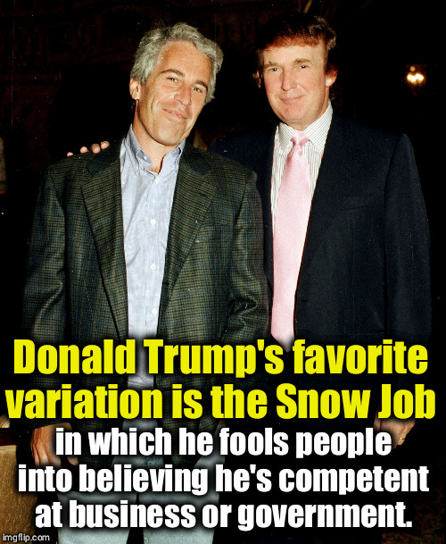 Sometimes known as the Con Job. | Donald Trump's favorite variation is the Snow Job; in which he fools people into believing he's competent at business or government. | image tagged in epstein trump,trump,incompetent,liar,snow,con | made w/ Imgflip meme maker