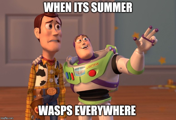 X, X Everywhere | WHEN ITS SUMMER; WASPS EVERYWHERE | image tagged in memes,x x everywhere | made w/ Imgflip meme maker