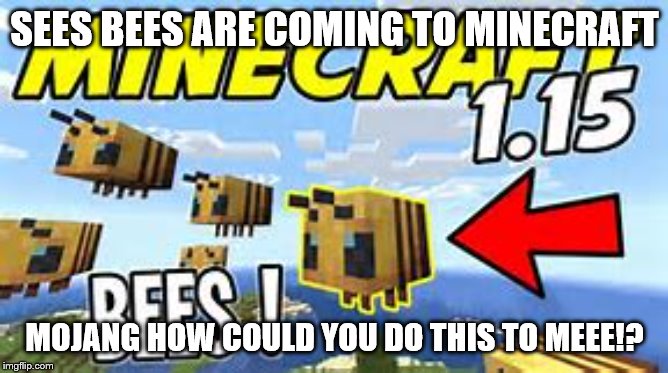 NoOo ThE BeEeEz!!111!!!1111 | SEES BEES ARE COMING TO MINECRAFT; MOJANG HOW COULD YOU DO THIS TO MEEE!? | image tagged in nooo the beeeez1111111 | made w/ Imgflip meme maker