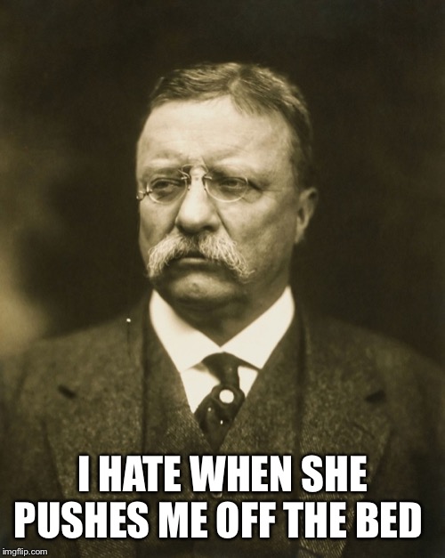 teddy roosevelt | I HATE WHEN SHE PUSHES ME OFF THE BED | image tagged in teddy roosevelt | made w/ Imgflip meme maker
