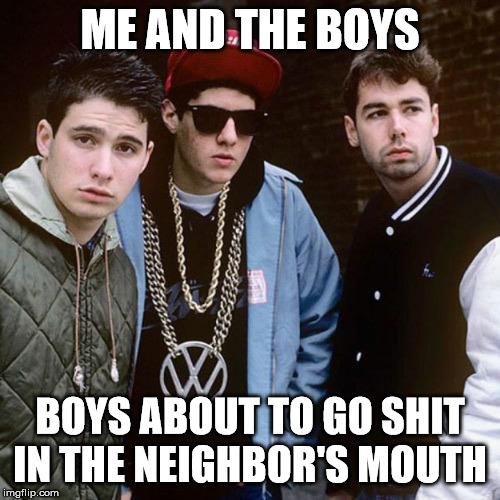 ME AND THE BOYS; BOYS ABOUT TO GO SHIT IN THE NEIGHBOR'S MOUTH | image tagged in epicpoliticalmemes,funny,meme | made w/ Imgflip meme maker