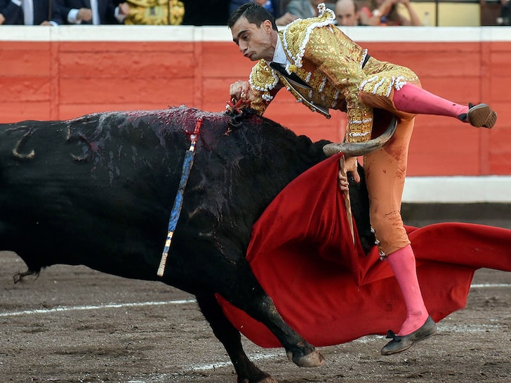 Bullfighter getting gored in crotch Blank Meme Template