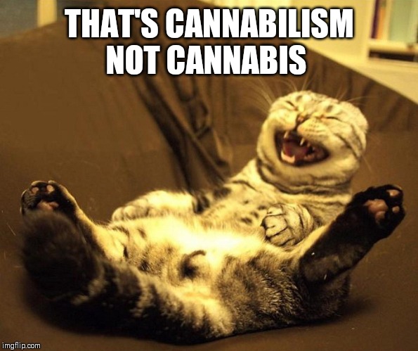 laughing cat | THAT'S CANNIBALISM NOT CANNABIS | image tagged in laughing cat | made w/ Imgflip meme maker