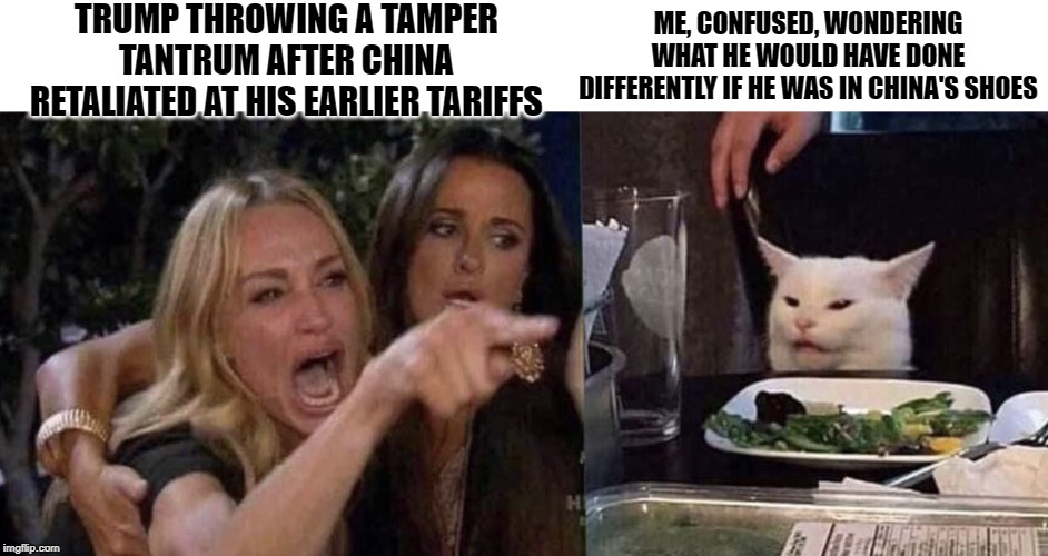 woman yelling at cat | TRUMP THROWING A TAMPER TANTRUM AFTER CHINA RETALIATED AT HIS EARLIER TARIFFS; ME, CONFUSED, WONDERING WHAT HE WOULD HAVE DONE DIFFERENTLY IF HE WAS IN CHINA'S SHOES | image tagged in woman yelling at cat,Sino | made w/ Imgflip meme maker