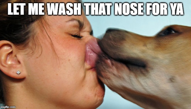 Dog Kisses | LET ME WASH THAT NOSE FOR YA | image tagged in dog kisses | made w/ Imgflip meme maker