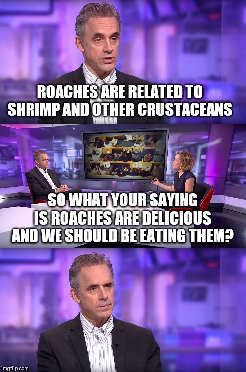 Jordan Peterson vs Feminist Interviewer | ROACHES ARE RELATED TO SHRIMP AND OTHER CRUSTACEANS; SO WHAT YOUR SAYING IS ROACHES ARE DELICIOUS AND WE SHOULD BE EATING THEM? | image tagged in jordan peterson vs feminist interviewer | made w/ Imgflip meme maker
