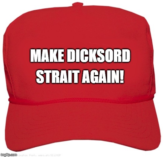 blank red MAGA hat |  STRAIT AGAIN! MAKE DICKSORD | image tagged in blank red maga hat | made w/ Imgflip meme maker