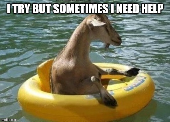 Floating Goat | I TRY BUT SOMETIMES I NEED HELP | image tagged in floating goat | made w/ Imgflip meme maker