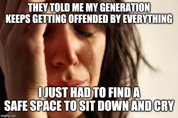 First World Problems Meme | THEY TOLD ME MY GENERATION KEEPS GETTING OFFENDED BY EVERYTHING; I JUST HAD TO FIND A SAFE SPACE TO SIT DOWN AND CRY | image tagged in memes,first world problems | made w/ Imgflip meme maker