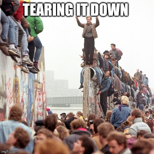 Berlin Wall Fallen | TEARING IT DOWN | image tagged in berlin wall fallen | made w/ Imgflip meme maker