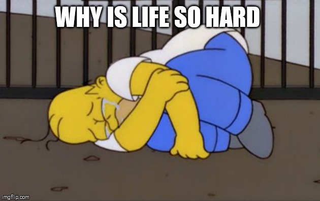 Fetal Position Homer | WHY IS LIFE SO HARD | image tagged in fetal position homer | made w/ Imgflip meme maker