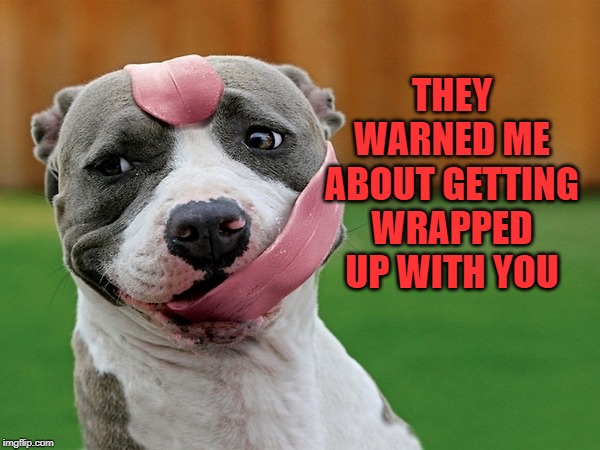 Dog tongue | THEY WARNED ME ABOUT GETTING WRAPPED UP WITH YOU | image tagged in dog tongue | made w/ Imgflip meme maker