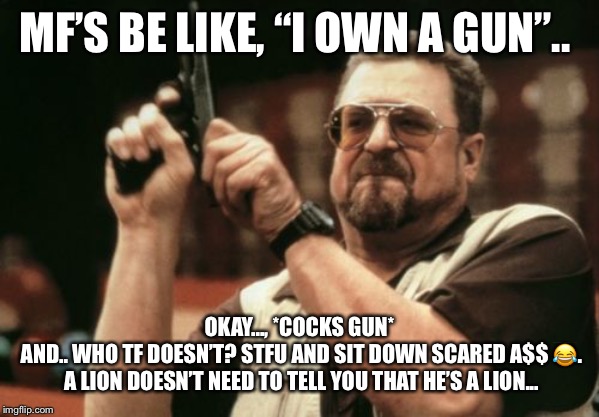 Am I The Only One Around Here Meme | MF’S BE LIKE, “I OWN A GUN”.. OKAY..., *COCKS GUN*
 AND.. WHO TF DOESN’T? STFU AND SIT DOWN SCARED A$$ 😂.
 A LION DOESN’T NEED TO TELL YOU THAT HE’S A LION... | image tagged in memes,am i the only one around here | made w/ Imgflip meme maker
