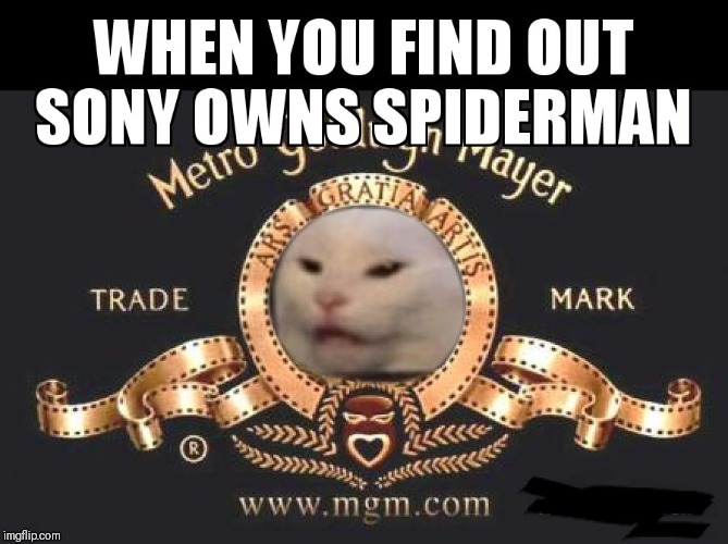 WHAAA!? | image tagged in sony,spiderman | made w/ Imgflip meme maker