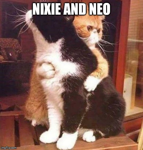 NIXIE AND NEO | made w/ Imgflip meme maker