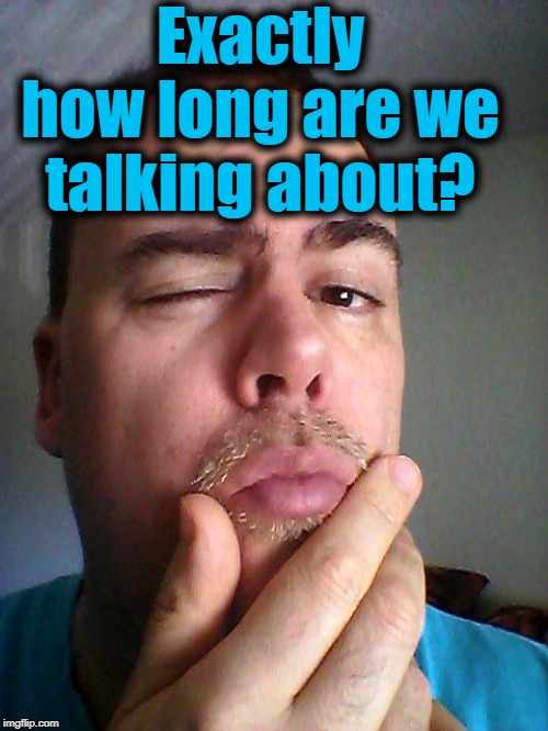 Exactly how long are we talking about? | made w/ Imgflip meme maker