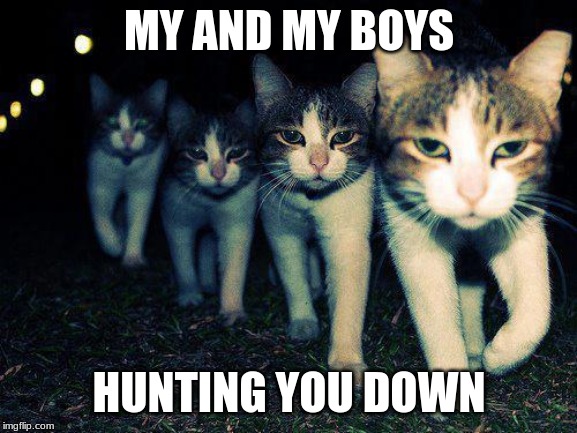 Wrong Neighboorhood Cats | MY AND MY BOYS; HUNTING YOU DOWN | image tagged in memes,wrong neighboorhood cats | made w/ Imgflip meme maker