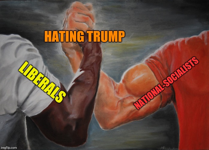 Although they hate him for the exact opposite reason. | HATING TRUMP; NATIONAL-SOCIALISTS; LIBERALS | image tagged in epic handshake,donald trump,liberals,nazism,powermetalhead,memes | made w/ Imgflip meme maker