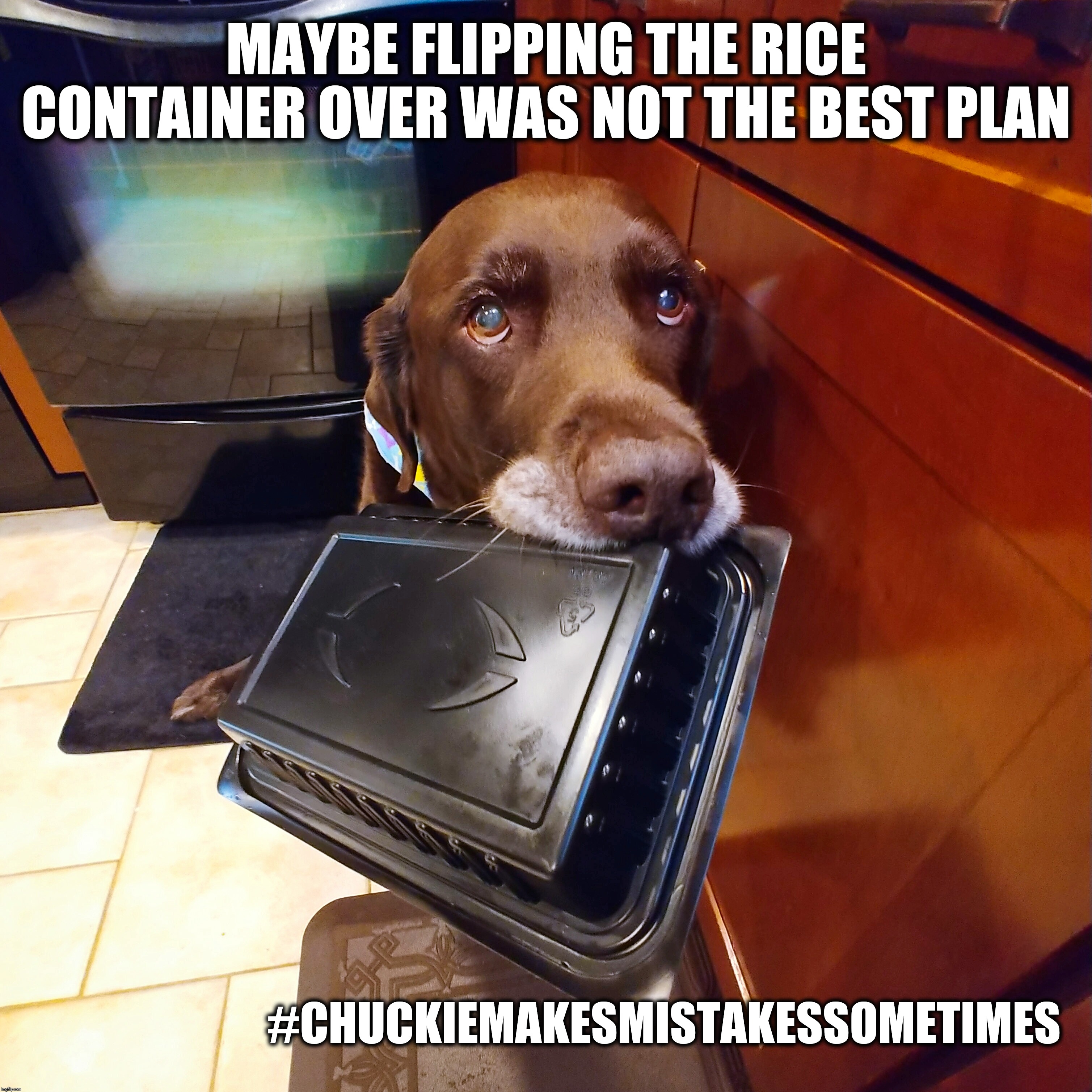 I made a mistake | MAYBE FLIPPING THE RICE CONTAINER OVER WAS NOT THE BEST PLAN; #CHUCKIEMAKESMISTAKESSOMETIMES | image tagged in mistake,dogs,memes,funny,chuckie makes mistakes sometimes,chuckie the chocolate lab | made w/ Imgflip meme maker
