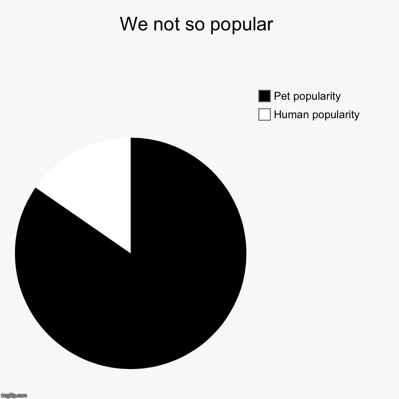 We not so popular | Human popularity , Pet popularity | image tagged in charts,pie charts | made w/ Imgflip chart maker