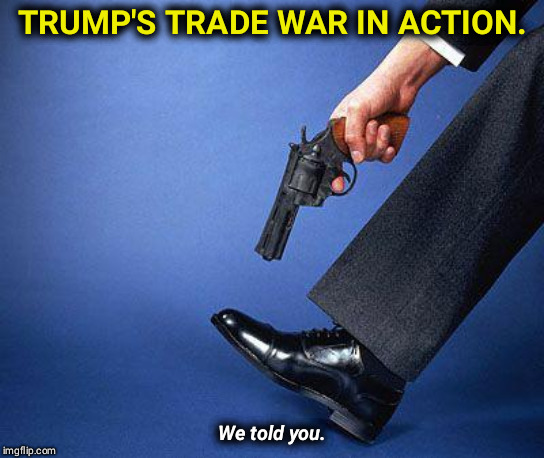 We did. | TRUMP'S TRADE WAR IN ACTION. We told you. | image tagged in shoot yourself in the foot,trump,economy,trade war,china,tariffs | made w/ Imgflip meme maker