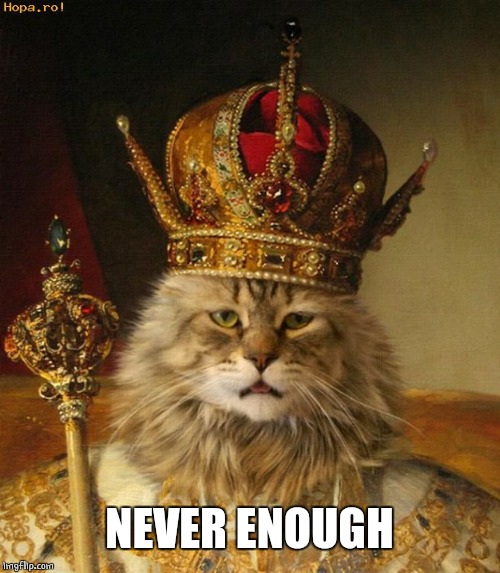 King cat | NEVER ENOUGH | image tagged in king cat | made w/ Imgflip meme maker