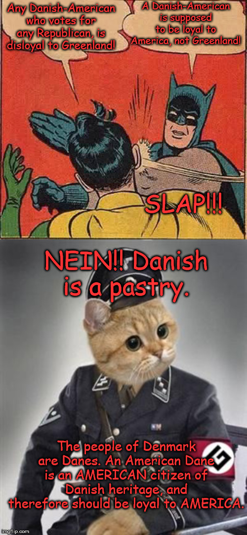 Any Danish-American who votes for any Republican, is disloyal to Greenland! A Danish-American is supposed to be loyal to America, not Greenl | image tagged in memes,batman slapping robin,grammar nazi cat | made w/ Imgflip meme maker