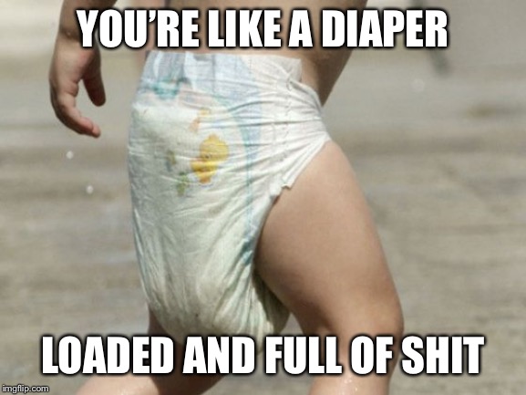 diaper-loaded | YOU’RE LIKE A DIAPER; LOADED AND FULL OF SHIT | image tagged in diaper-loaded | made w/ Imgflip meme maker
