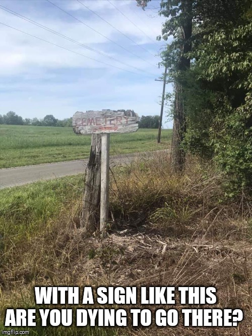 WITH A SIGN LIKE THIS ARE YOU DYING TO GO THERE? | image tagged in signs | made w/ Imgflip meme maker