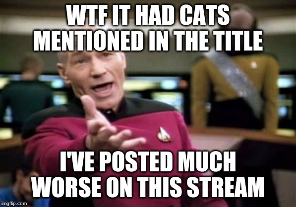 Since you guys complained about my last one | WTF IT HAD CATS MENTIONED IN THE TITLE; I'VE POSTED MUCH WORSE ON THIS STREAM | image tagged in memes,picard wtf,cats | made w/ Imgflip meme maker