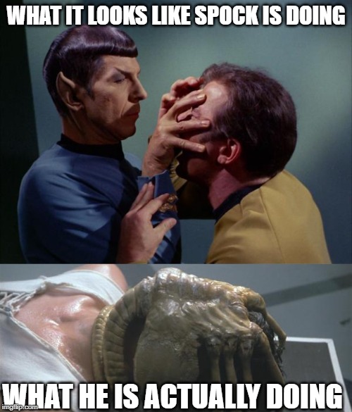 Lay Those Eggs | WHAT IT LOOKS LIKE SPOCK IS DOING; WHAT HE IS ACTUALLY DOING | image tagged in alien face hugger,spock mind meld | made w/ Imgflip meme maker