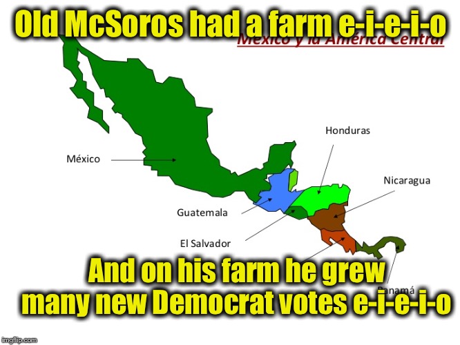 Old McSoros had a farm e-i-e-i-o And on his farm he grew many new Democrat votes e-i-e-i-o | made w/ Imgflip meme maker