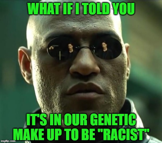 Morpheus  | WHAT IF I TOLD YOU IT'S IN OUR GENETIC MAKE UP TO BE "RACIST" | image tagged in morpheus | made w/ Imgflip meme maker