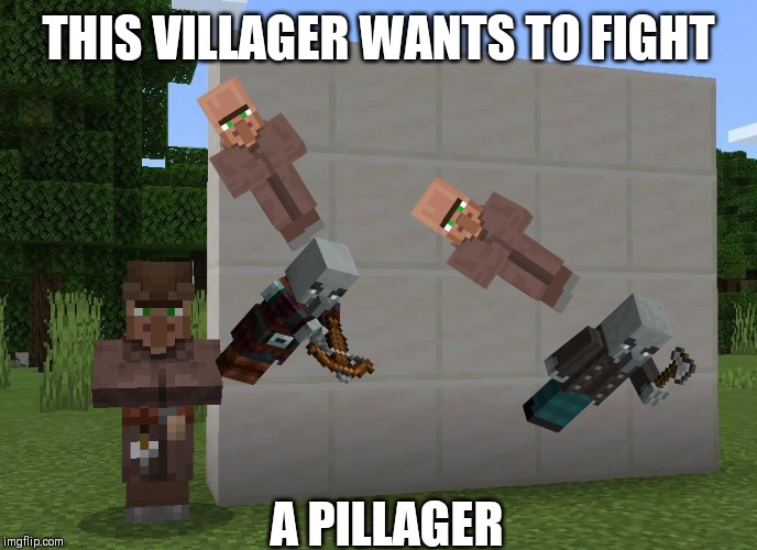 Villager whiteboard | THIS VILLAGER WANTS TO FIGHT; A PILLAGER | image tagged in villager whiteboard | made w/ Imgflip meme maker