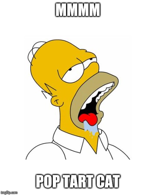 Homer Simpson Drooling | MMMM POP TART CAT | image tagged in homer simpson drooling | made w/ Imgflip meme maker