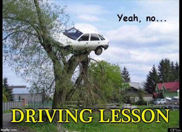 DRIVING LESSON...Yeah, no. | Yeah, no... DRIVING LESSON | image tagged in memes,secure parking,driving,funny | made w/ Imgflip meme maker